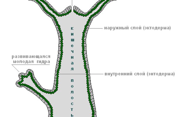 Сайт mega работает